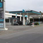 galeria5