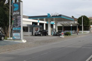 galeria5